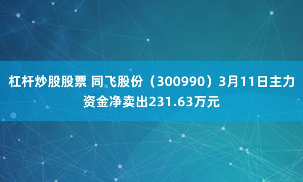 杠杆炒股股票 同飞股份（300990）3月11日主力资金净卖出231.63万元