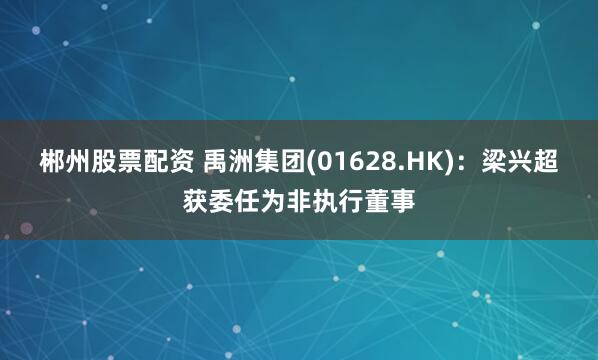 郴州股票配资 禹洲集团(01628.HK)：梁兴超获委任为非执行董事