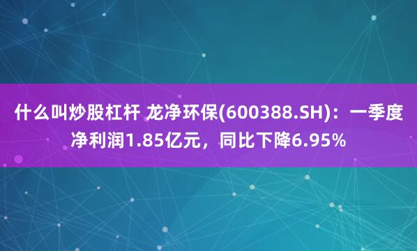 什么叫炒股杠杆 龙净环保(600388.SH)：一季度净利润1.85亿元，同比下降6.95%