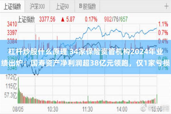 杠杆炒股什么原理 34家保险资管机构2024年业绩出炉：国寿资产净利润超38亿元领跑，仅1家亏损