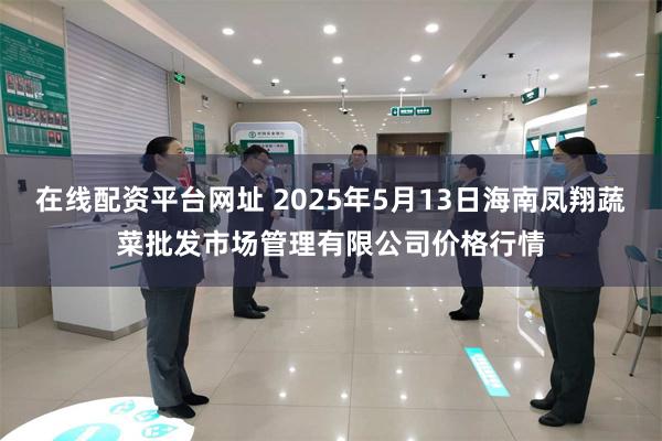 在线配资平台网址 2025年5月13日海南凤翔蔬菜批发市场管理有限公司价格行情