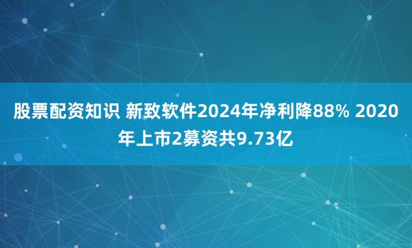 股票配资知识 新致软件2024年净利降88% 2020年上市2募资共9.73亿