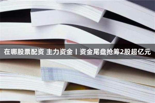在哪股票配资 主力资金丨资金尾盘抢筹2股超亿元