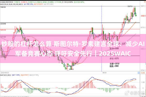 炒股的杠杆怎么算 斯图尔特·罗素建言全球：减少AI军备竞赛心态 呼吁安全先行︱2025WAIC