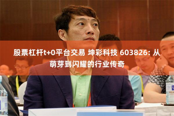 股票杠杆t+0平台交易 坤彩科技 603826: 从萌芽到闪耀的行业传奇